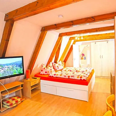 Haus Im Park Heringsdorf (Usedom)